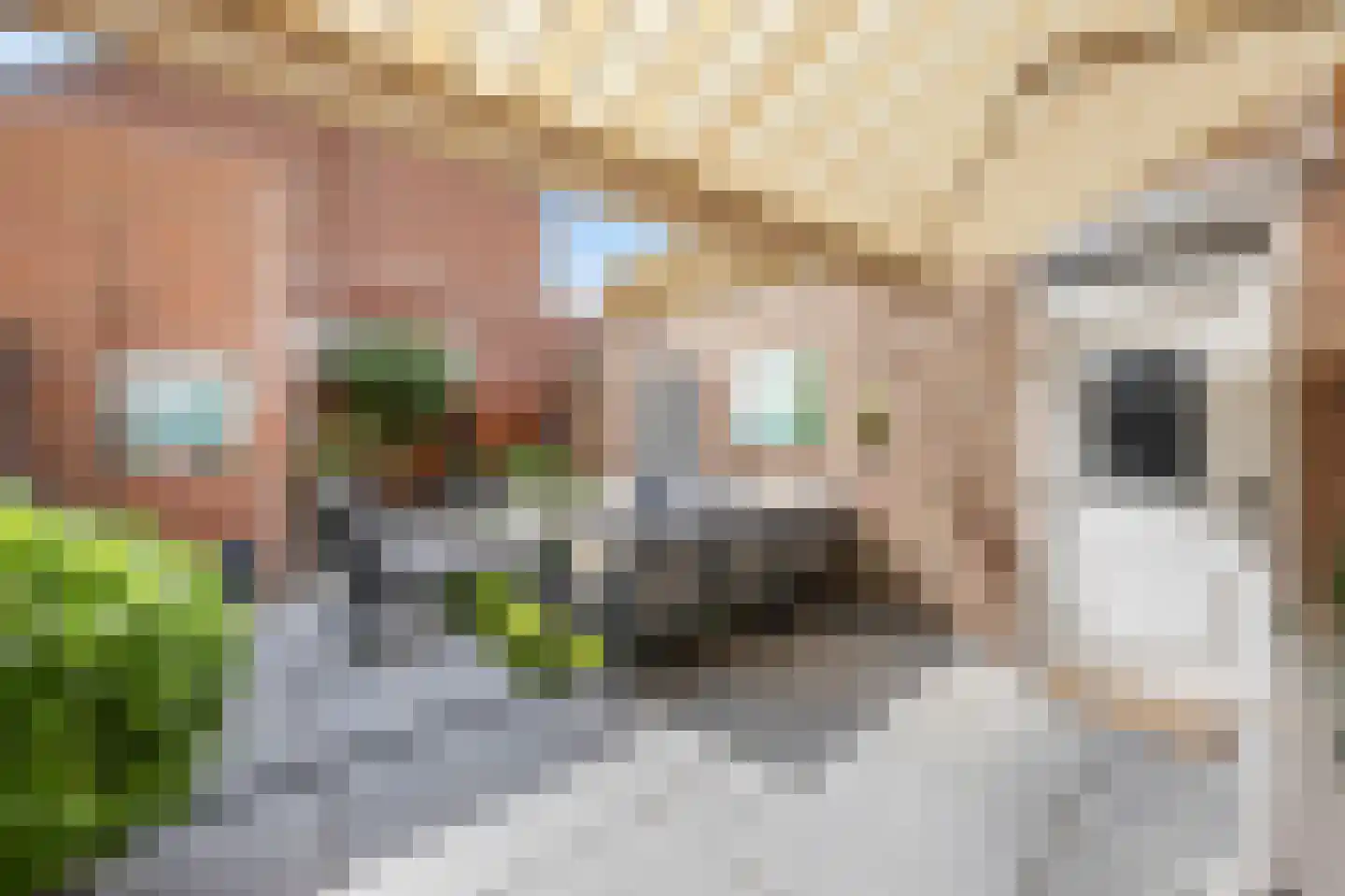 Stationsstraat 34 Swalmen thumbnail 25