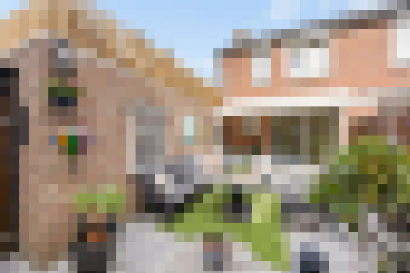 Stationsstraat 34 Swalmen thumbnail 28