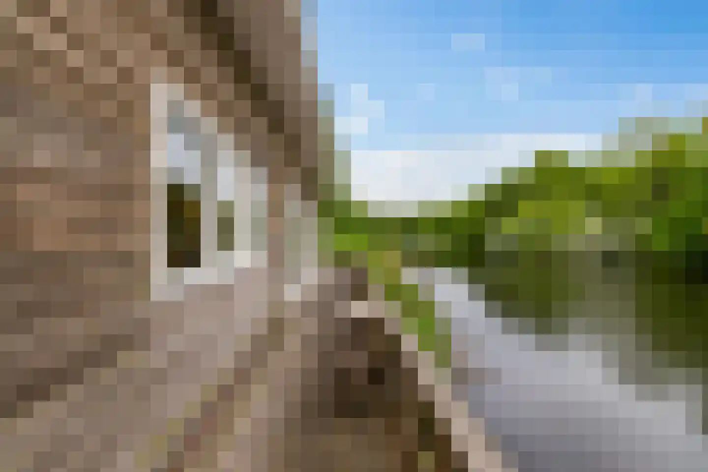 Stationsstraat 35 Bad Nieuweschans thumbnail 11