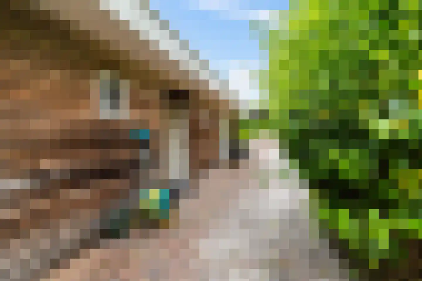 Stationsstraat 35 Bad Nieuweschans thumbnail 14