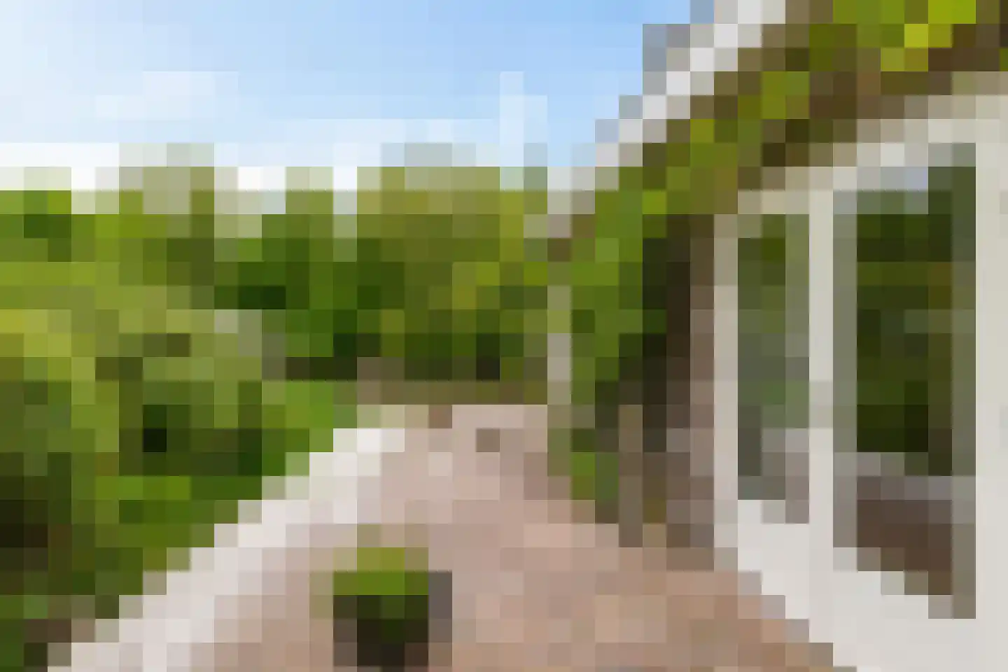 Stationsstraat 35 Bad Nieuweschans thumbnail 15