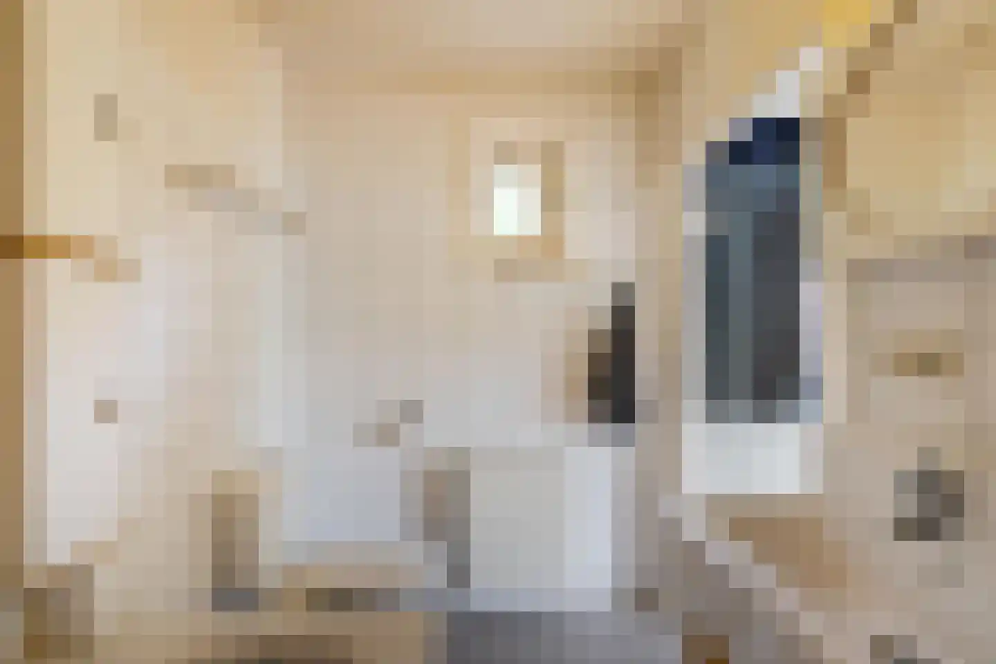 Stationsstraat 35 Bad Nieuweschans thumbnail 31