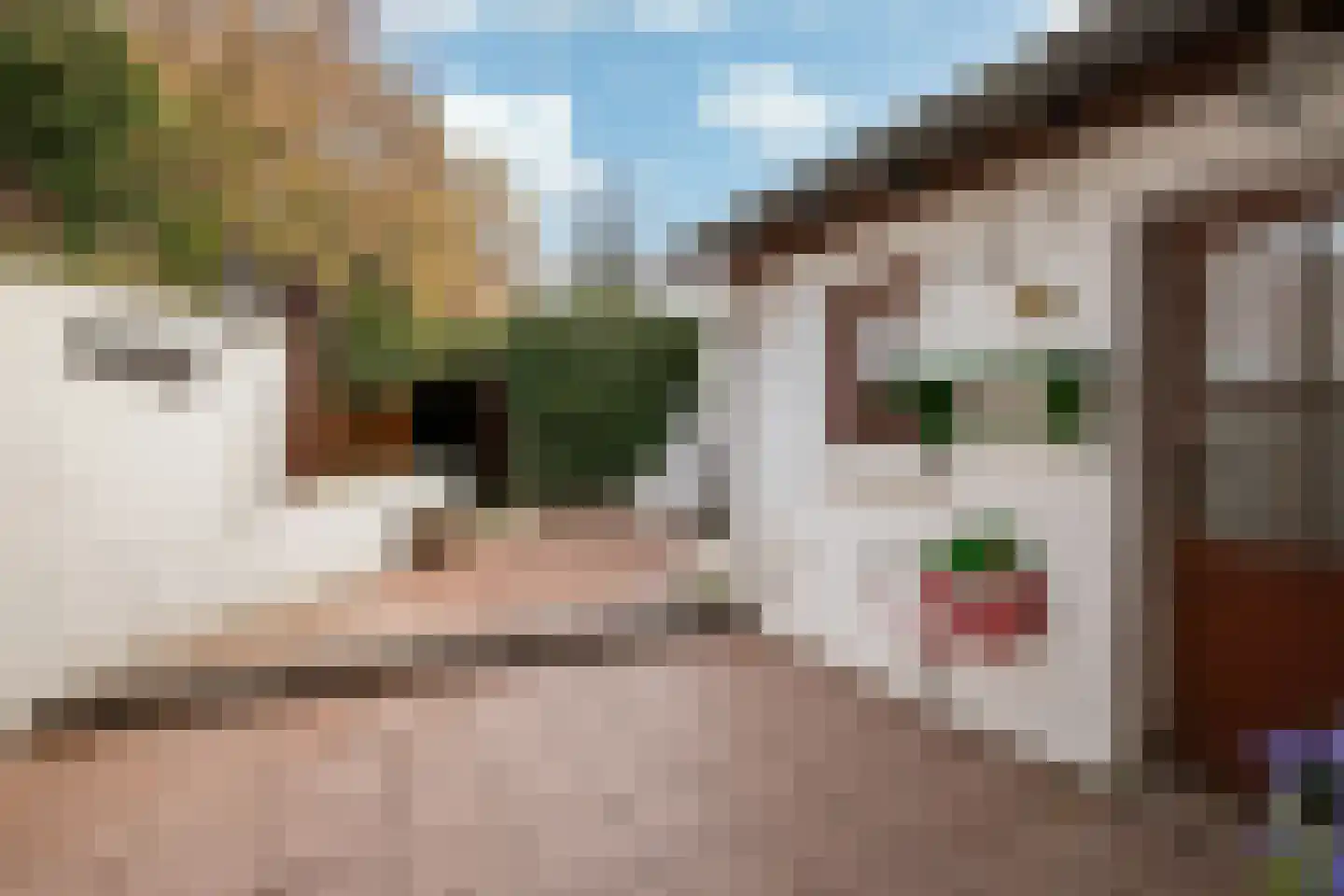 Stationsstraat 35 Swalmen thumbnail 22
