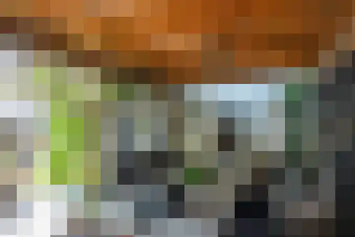 Stationsstraat 36 Epe thumbnail 30