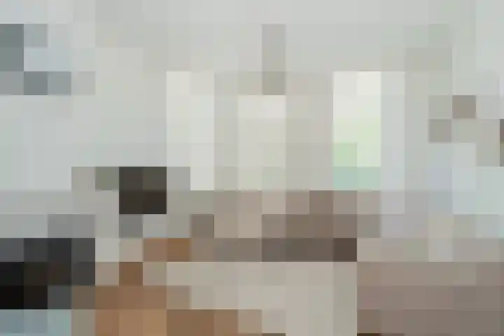 Stationsstraat 36 Epe thumbnail 6