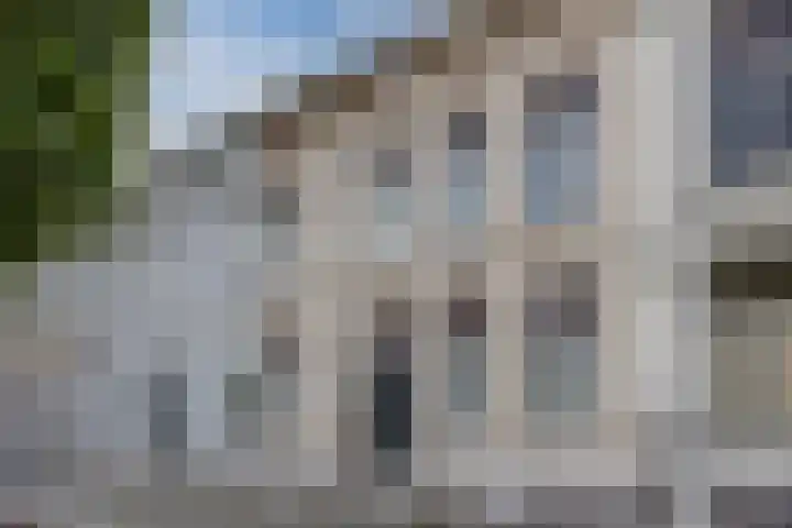 Stationsstraat 38 Bergen op Zoom thumbnail 97
