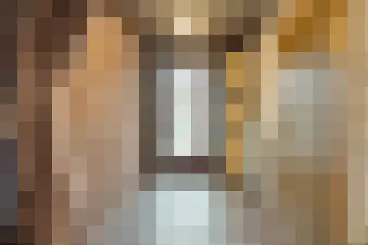 Stationsstraat 39 Swalmen thumbnail 13