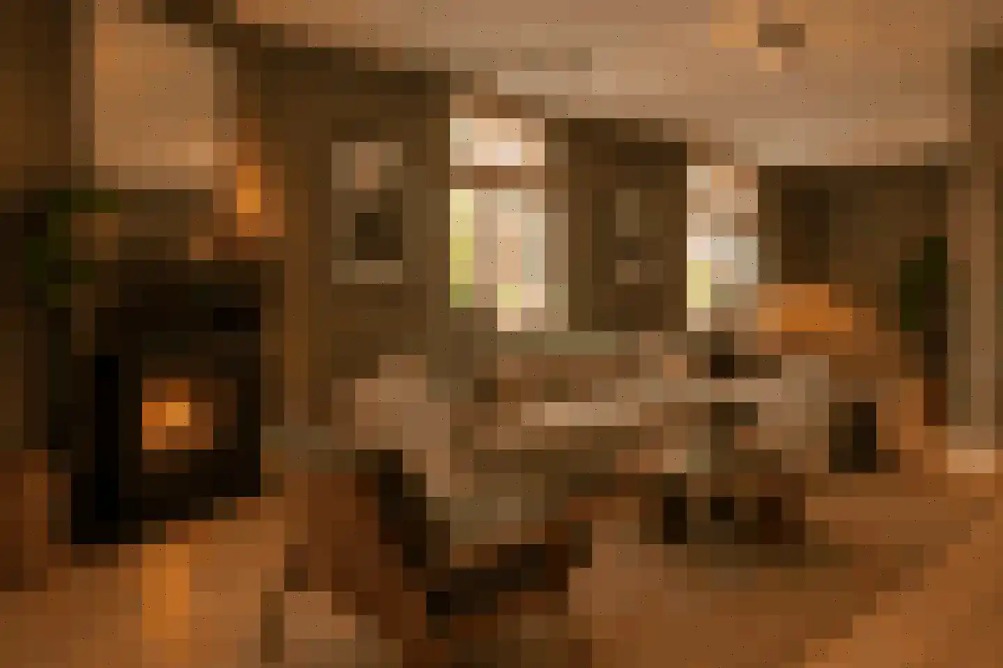 Stationsstraat 4 Gronsveld thumbnail 10