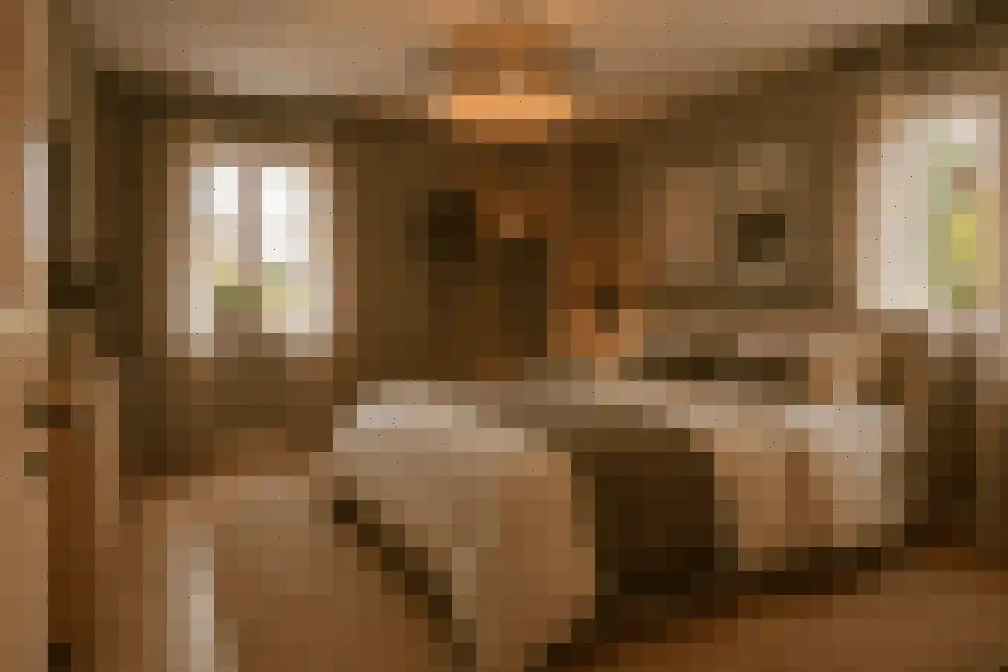 Stationsstraat 4 Gronsveld thumbnail 23