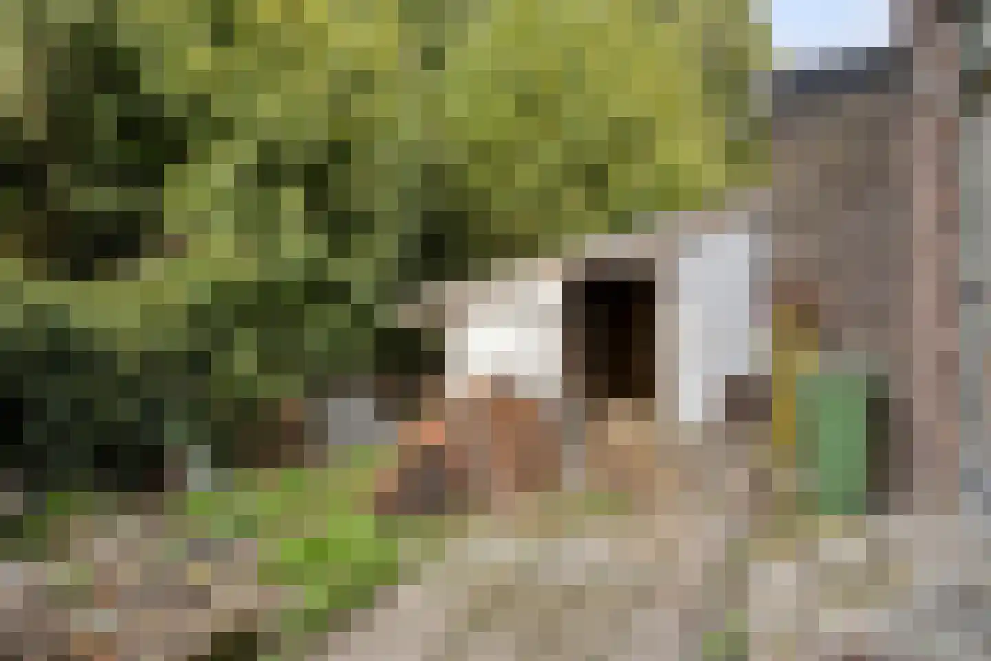 Stationsstraat 4 Gronsveld thumbnail 30