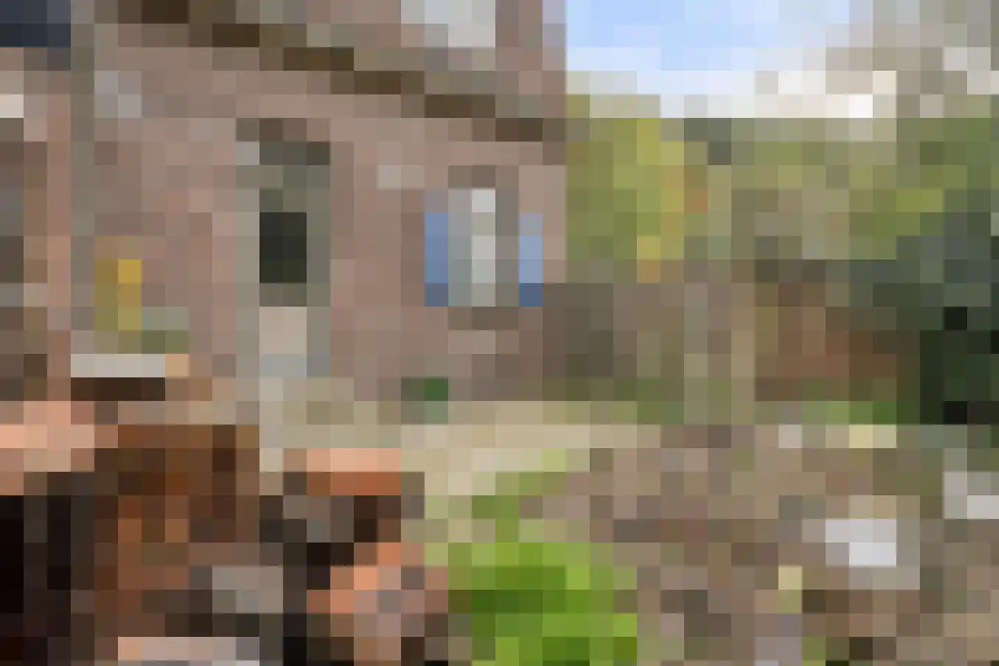 Stationsstraat 4 Gronsveld thumbnail 32