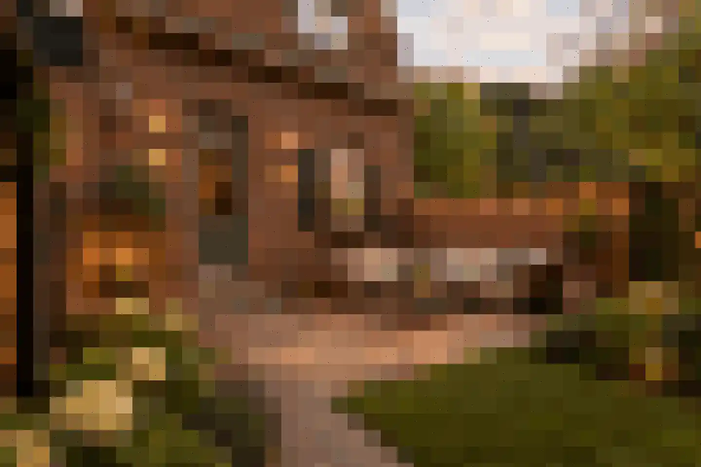 Stationsstraat 4 Gronsveld thumbnail 34
