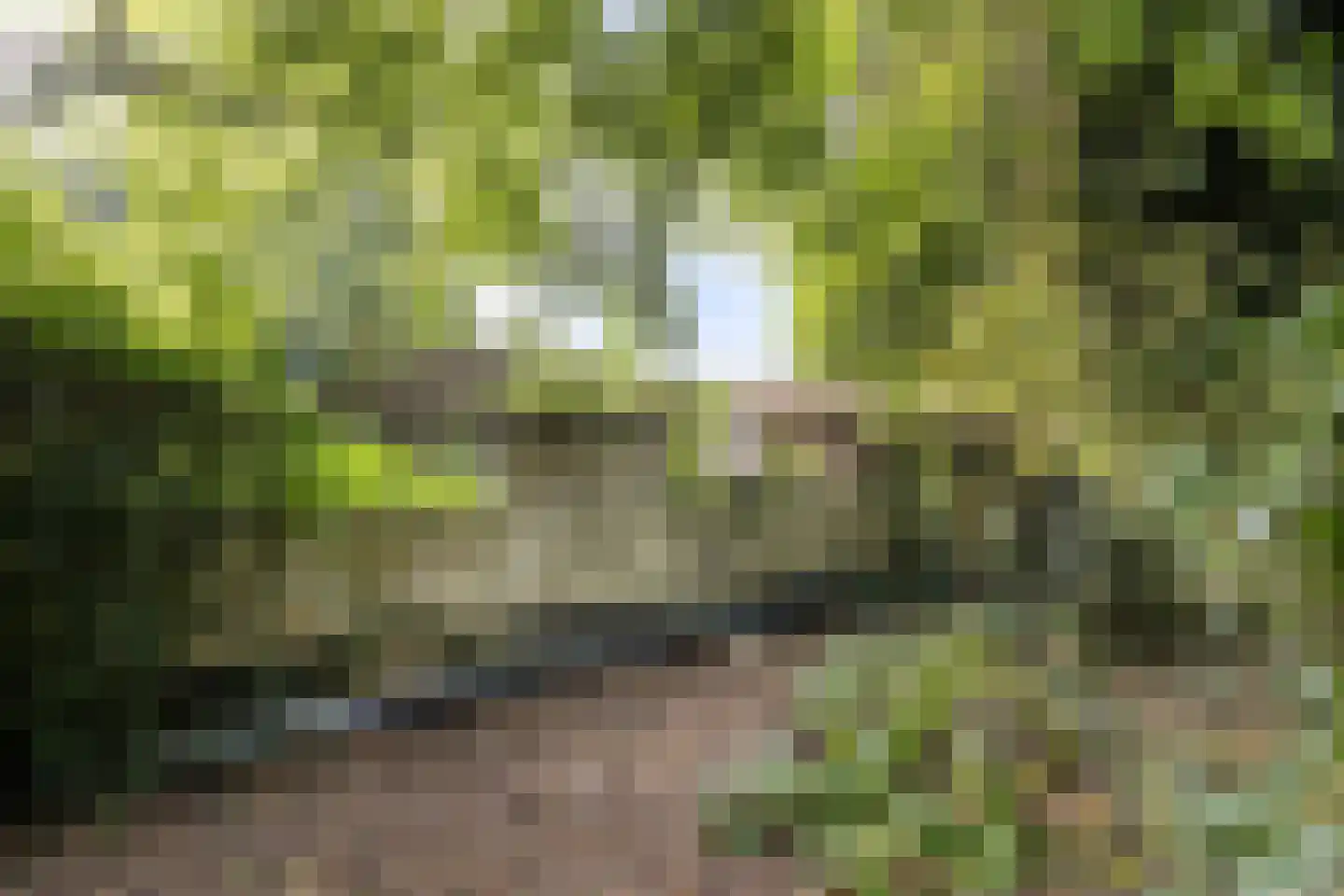 Stationsstraat 4 Gronsveld thumbnail 37