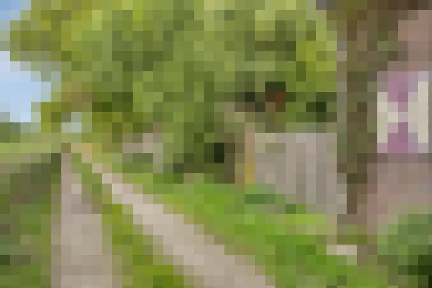 Stationsstraat 4 Gronsveld thumbnail 45