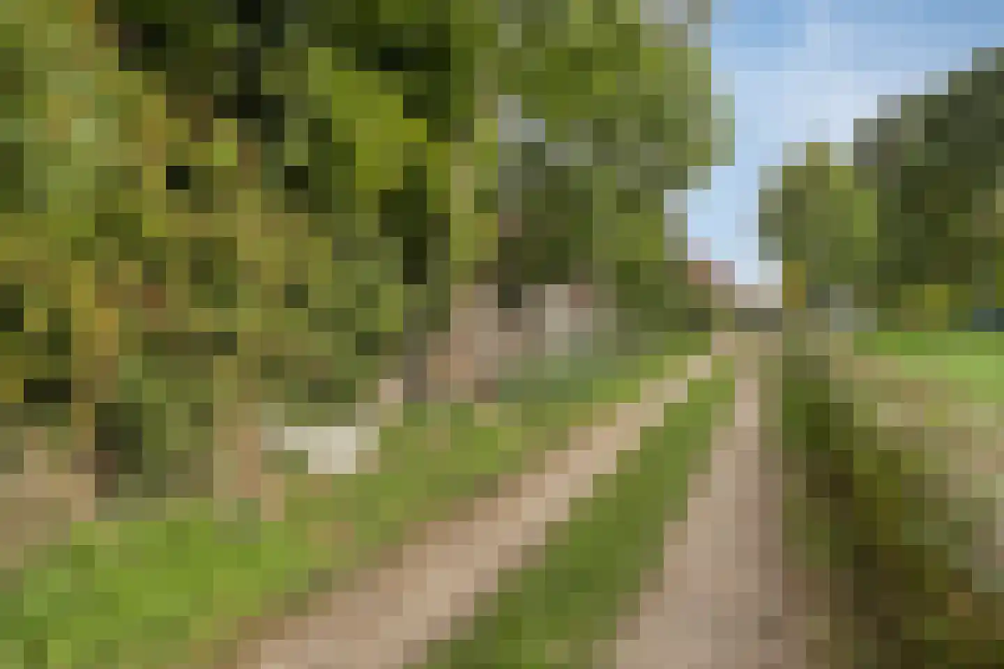 Stationsstraat 4 Gronsveld thumbnail 46