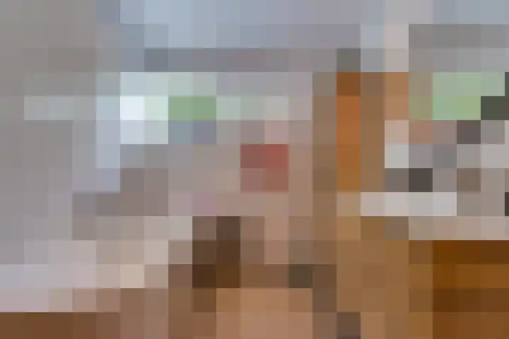 Stationsstraat 4 Nieuw-Buinen thumbnail 10