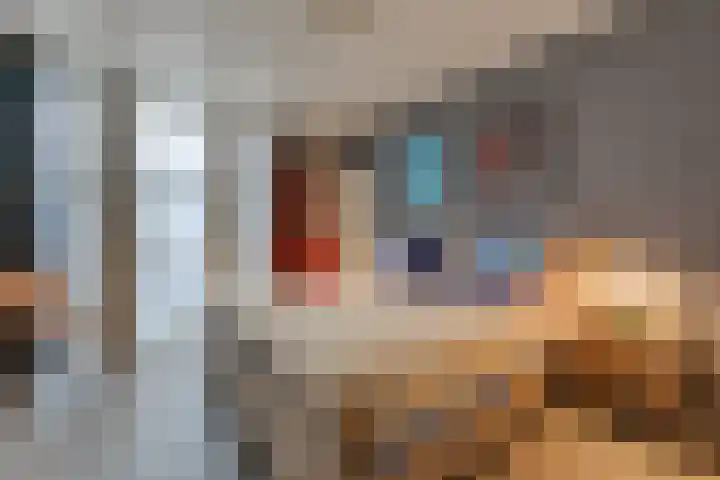 Stationsstraat 4 Nieuw-Buinen thumbnail 15
