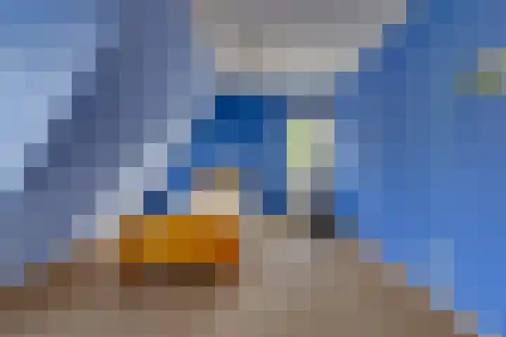 Stationsstraat 4 Nieuw-Buinen thumbnail 22