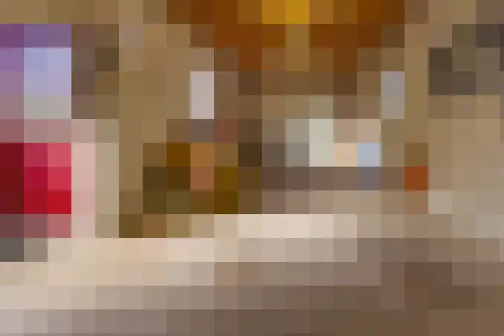 Stationsstraat 4 Nieuw-Buinen thumbnail 25