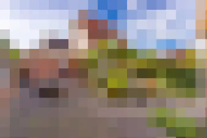 Stationsstraat 4 Nieuw-Buinen thumbnail 26