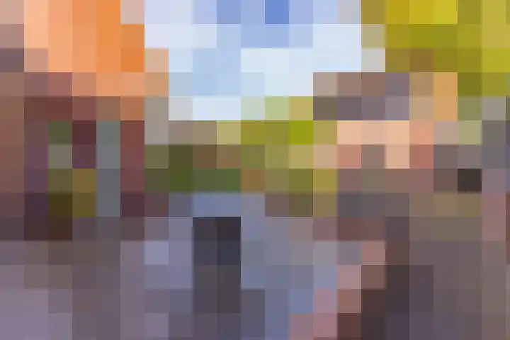 Stationsstraat 4 Nieuw-Buinen thumbnail 28