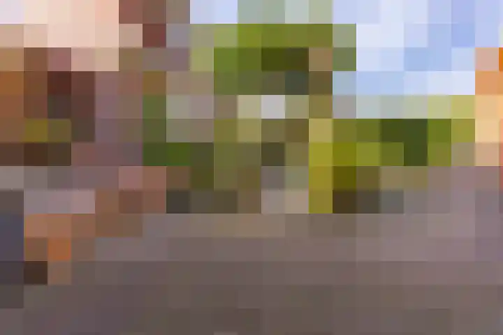 Stationsstraat 4 Nieuw-Buinen thumbnail 30