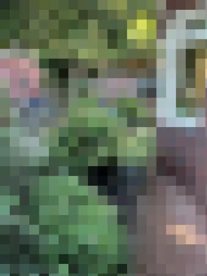Stationsstraat 4 Nieuw-Buinen thumbnail 32