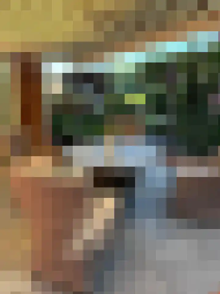 Stationsstraat 4 Nieuw-Buinen thumbnail 34