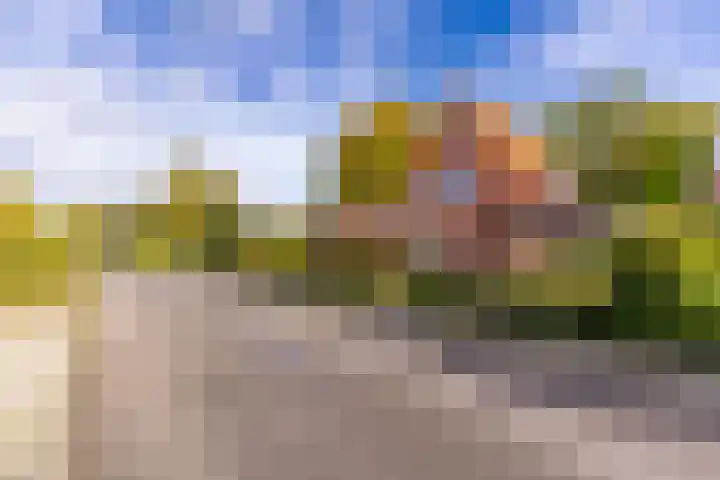 Stationsstraat 4 Nieuw-Buinen thumbnail 36