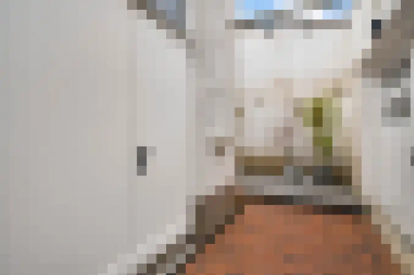 Stationsstraat 4 Schinnen thumbnail 46