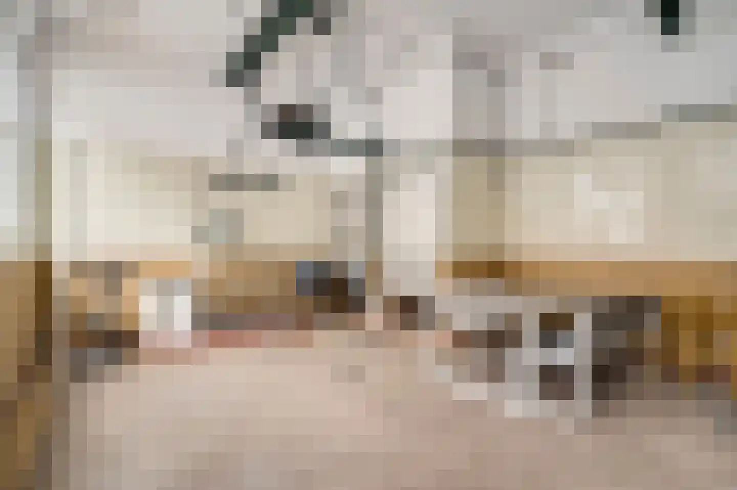 Stationsstraat 4 Schinnen thumbnail 50