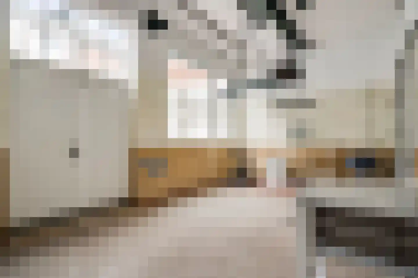 Stationsstraat 4 Schinnen thumbnail 51