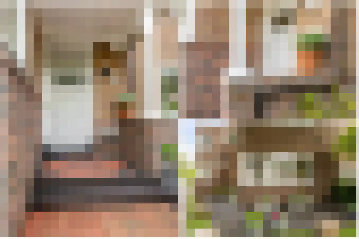 Stationsstraat 4 Schoonhoven thumbnail 63