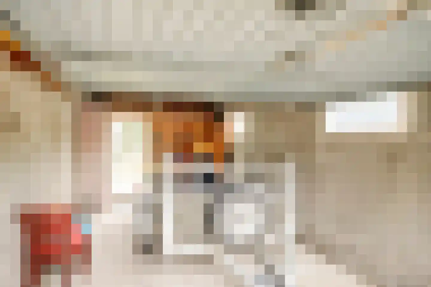 Stationsstraat 4 Warmenhuizen thumbnail 31
