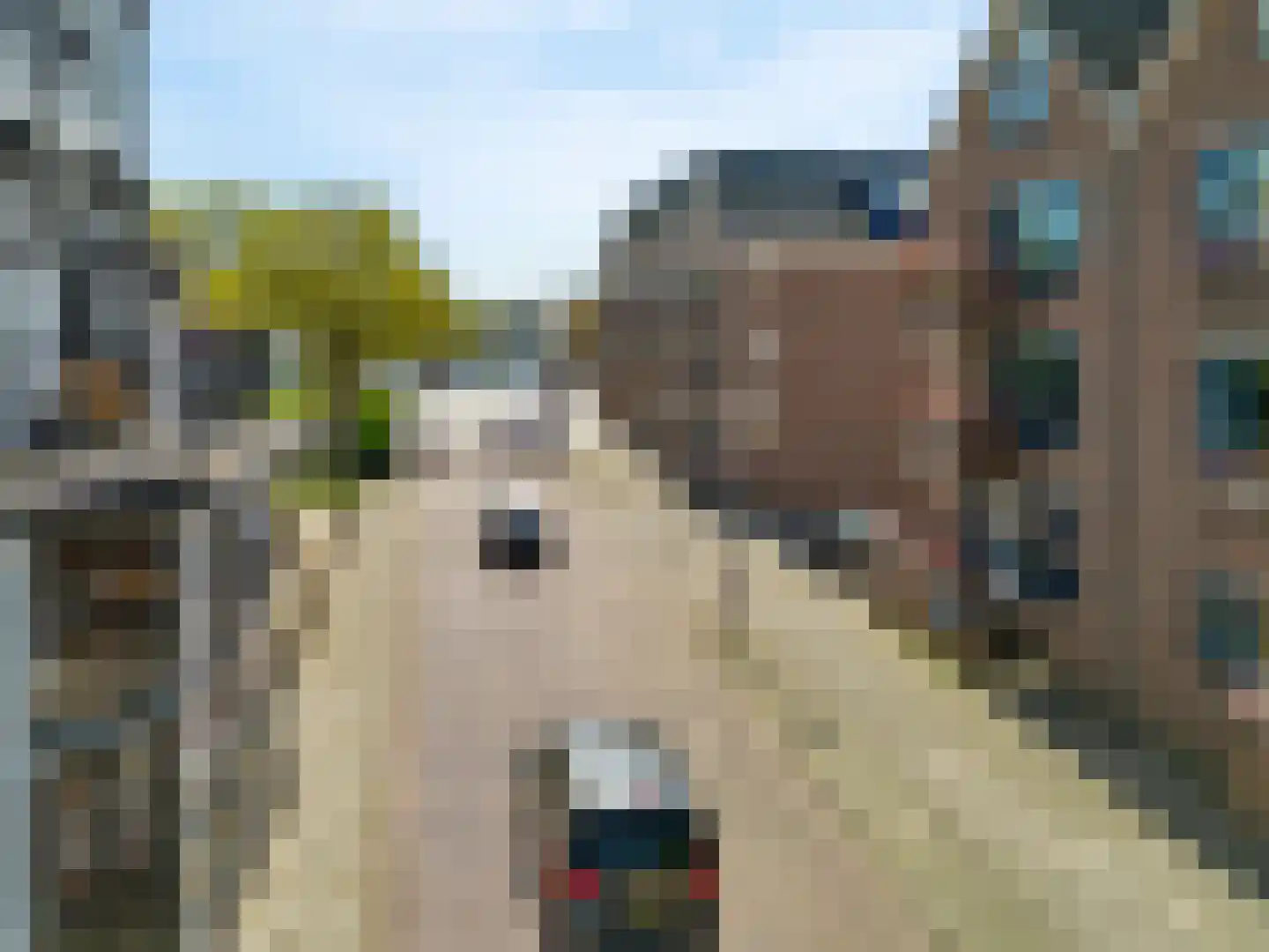 Stationsstraat 40 Uithoorn thumbnail 27