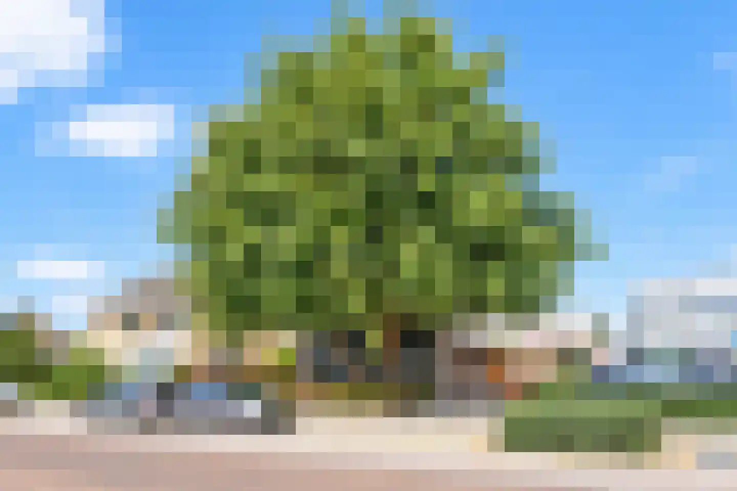 Stationsstraat 40 Waddinxveen thumbnail 48
