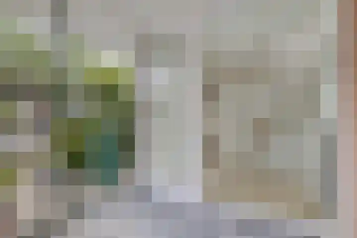 Stationsstraat 41 Elsloo thumbnail 11