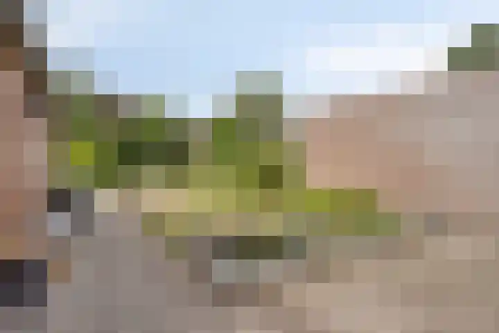 Stationsstraat 41 Elsloo thumbnail 33