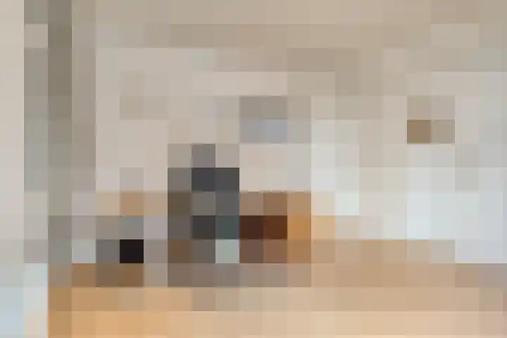 Stationsstraat 41 Elsloo thumbnail 41