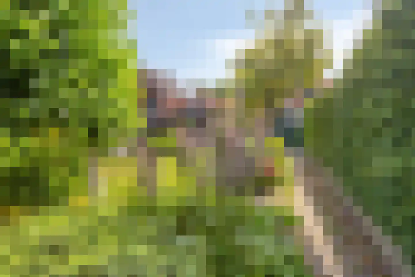 Stationsstraat 41 Veenendaal thumbnail 36