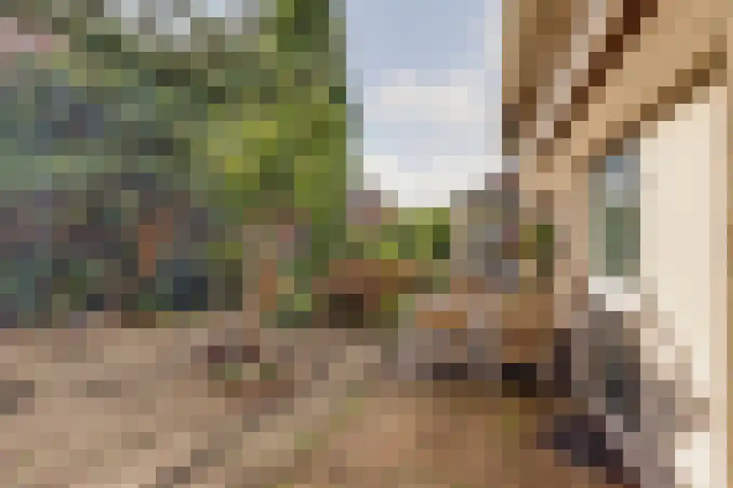 Stationsstraat 41 Waddinxveen thumbnail 42