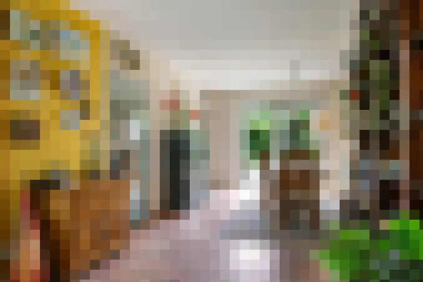 Stationsstraat 42 Zetten thumbnail 16