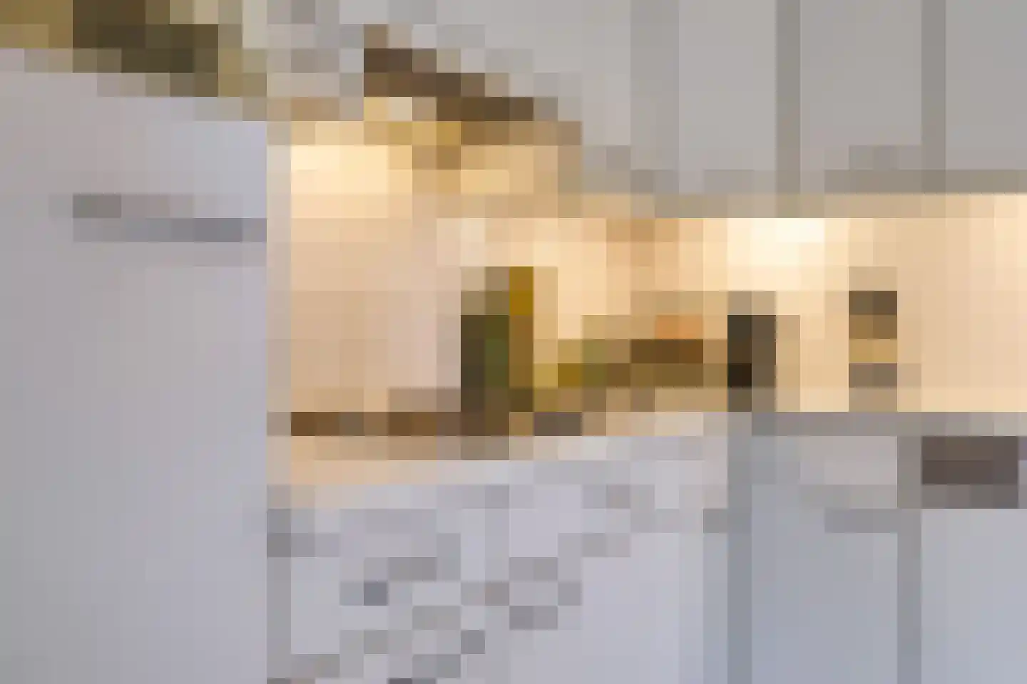 Stationsstraat 42 Zetten thumbnail 19