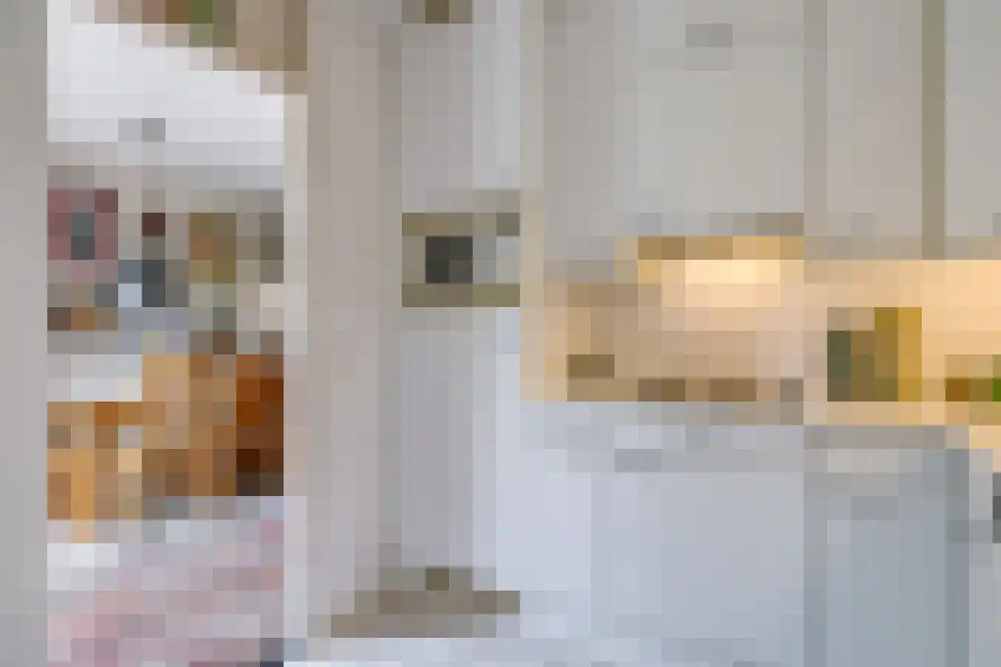 Stationsstraat 42 Zetten thumbnail 23