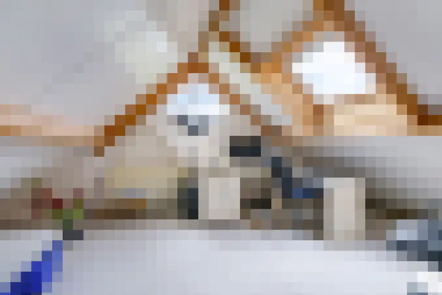 Stationsstraat 42 Zetten thumbnail 42