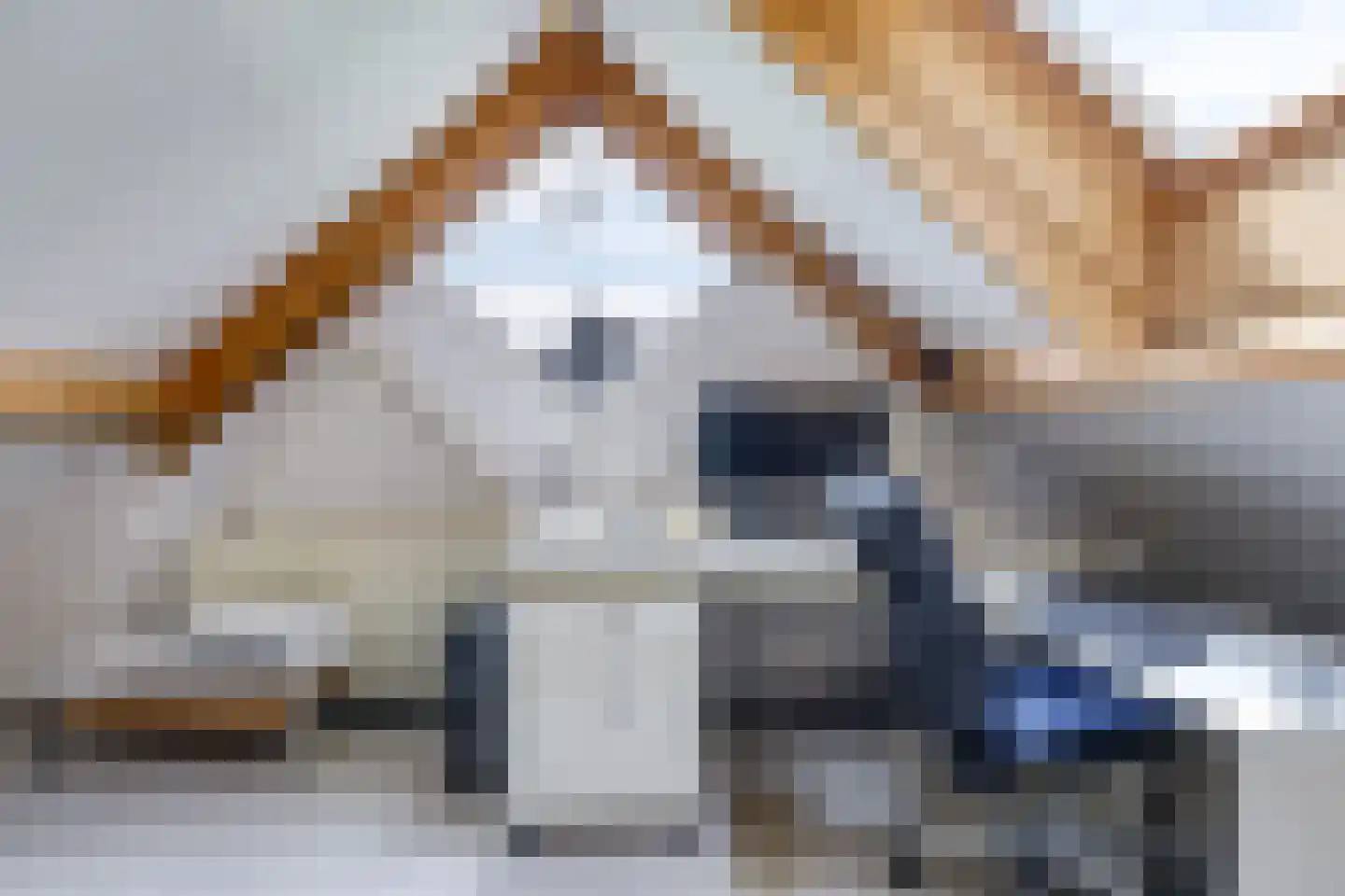 Stationsstraat 42 Zetten thumbnail 43