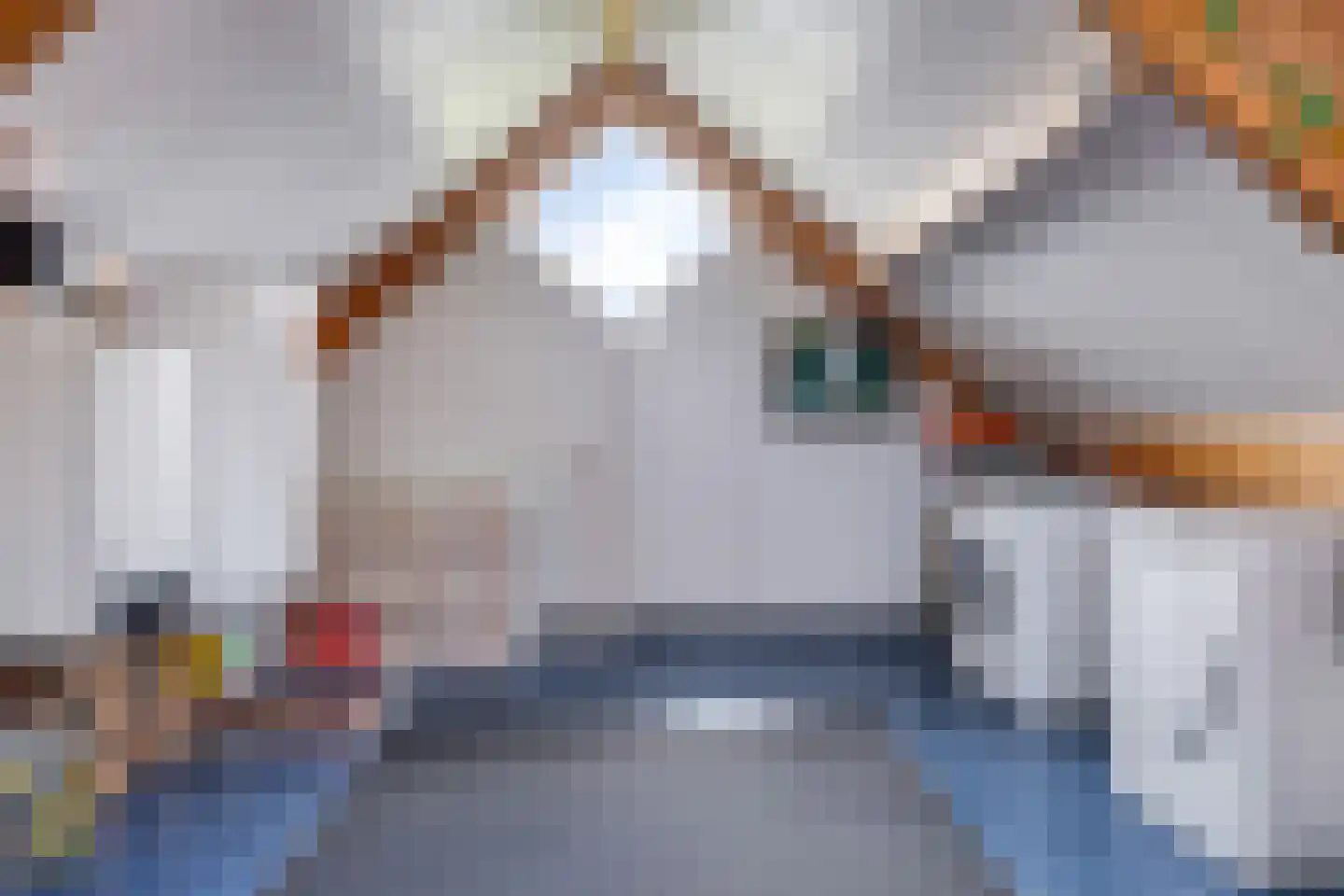 Stationsstraat 42 Zetten thumbnail 45