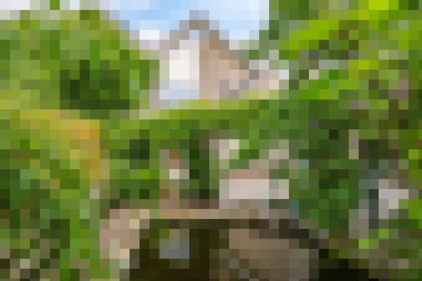 Stationsstraat 42 Zetten thumbnail 66