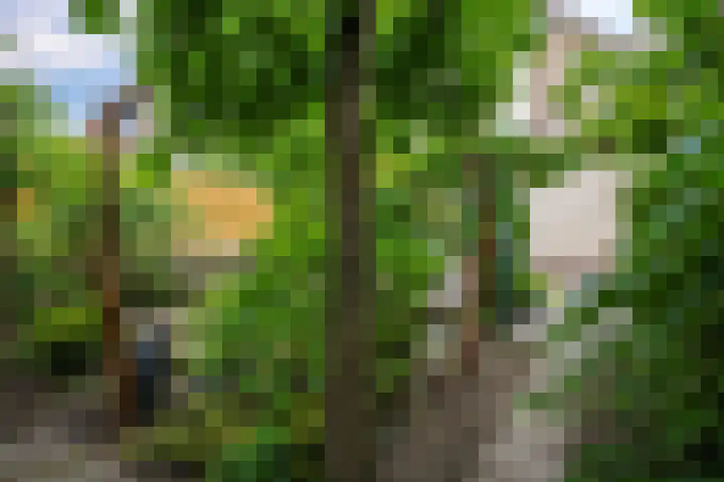 Stationsstraat 42 Zetten thumbnail 67