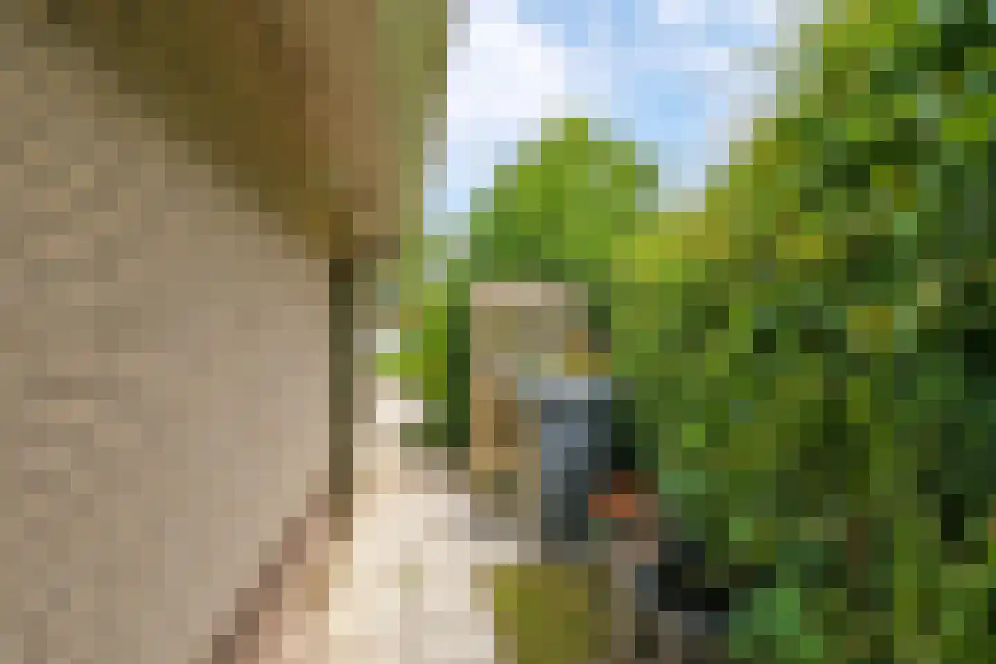 Stationsstraat 42 Zetten thumbnail 70
